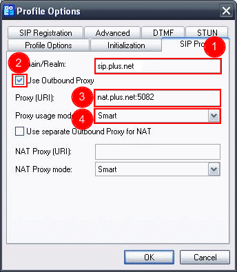 Enter these settings for the SIP Profile tab.